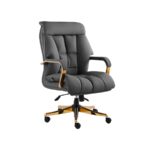 صندلی کارشناسی K900P