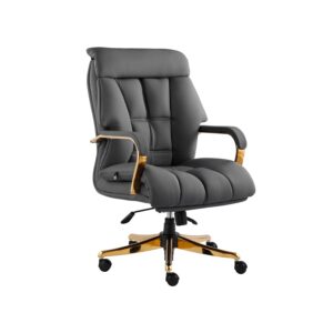 صندلی کارشناسی K900P