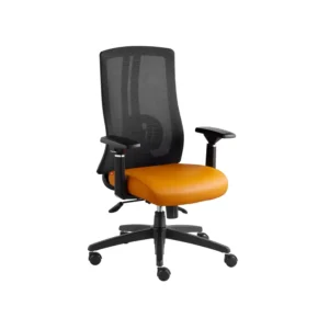 خرید صندلی کارشناسی طبی K960B