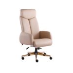 صندلی مدیریتی M910P