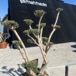 نمایشگاه ترمه مدیا ۱۴۰۳