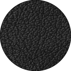 S1